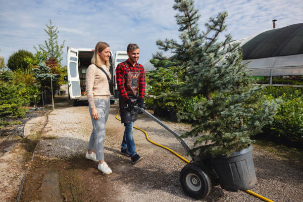 Professional Tree Services in Sawgrass, FL